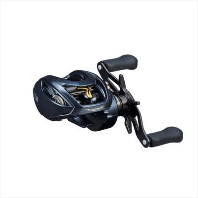 Daiwa 22 Steez A2 TW 1000XHL(Left) | eBay