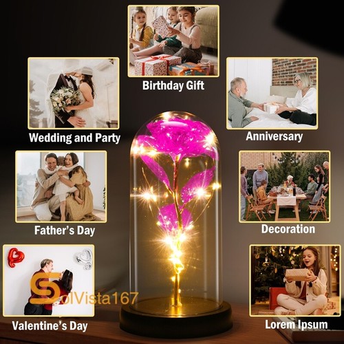 Eternal Forever Romantic Rose Flower In Glass Dome LED Light Mother`s Day Gift - Picture 37 of 102