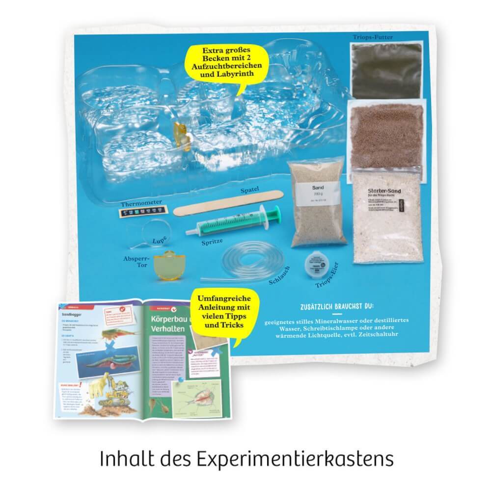 Thumbnail - Triops-welt
