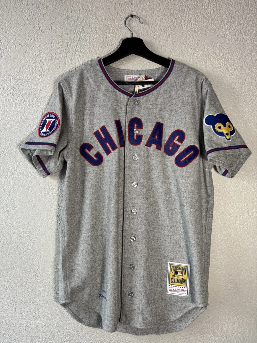 Mitchell & Ness Gray Chicago Cubs MLB Fan Apparel & Souvenirs for