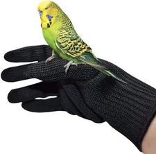 alfyng Bird Training Anti-Bite Gloves, Small Animal Handling Black 