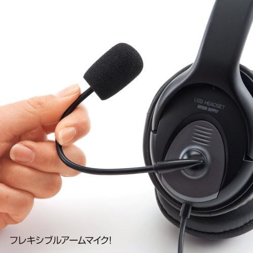Sanwa supply USB headset MM-HSUSB17BK Skype Music Dynamic type 40mm Japan - Afbeelding 3 van 9