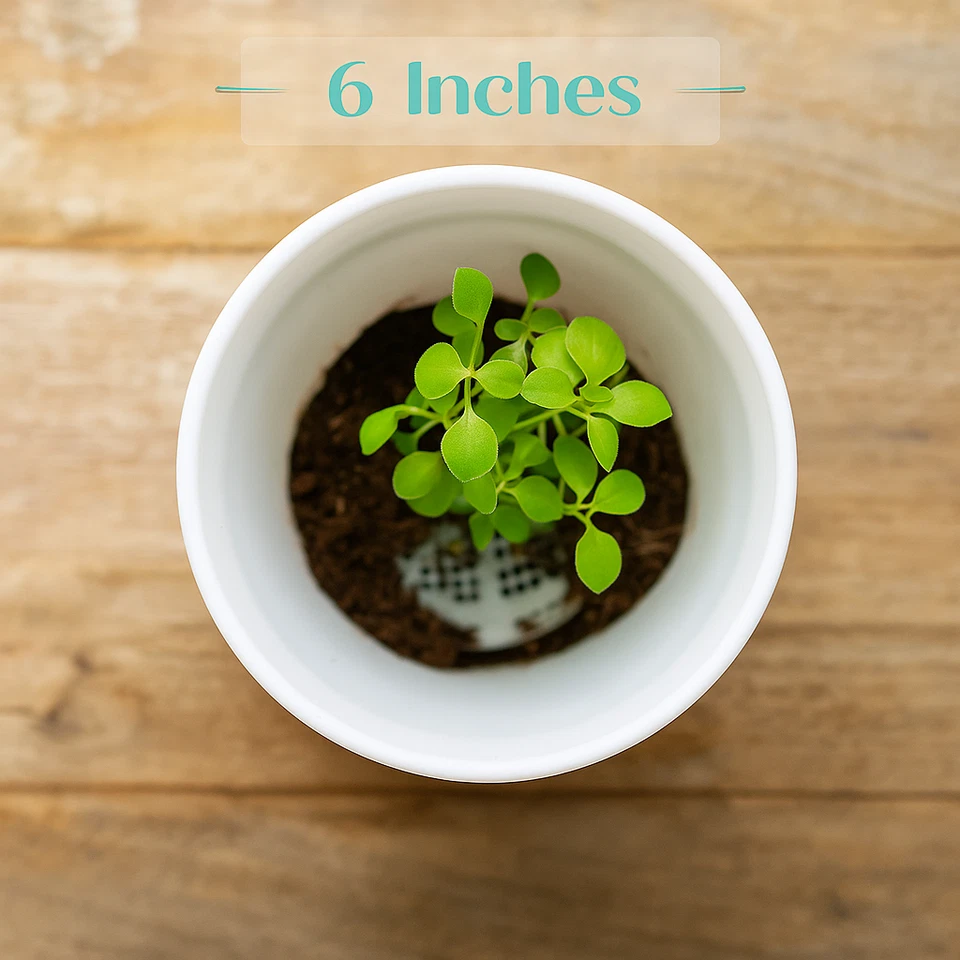 10 Set White Plastic Flower Plant Pots 6" Round Planters with Saucers for Plants - Image 2 of 4