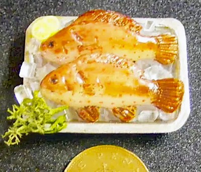 Puppenhaus Fisch A x 2 fest auf einem Tablett mit Eis Maßstab 1:12 Zubehör Tumdee