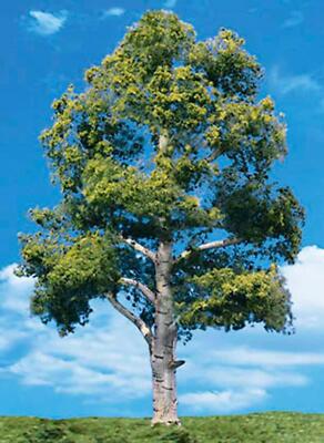 Woodland Scenics TR3538 N/HO Waters Edge Tree 7'' - 8'' Train Scenery