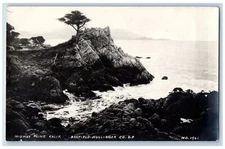 Midway Point California CA Postcard RPPC Photo Banfield Hullinger Co. c1910's