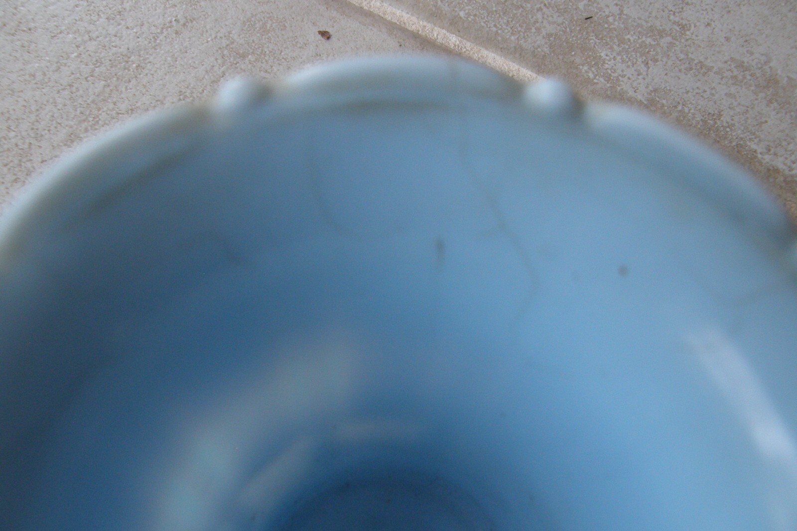 Picture 8 of 12