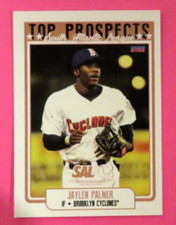 2022 Choice, SAL T/P, Brooklyn Cyclones - JAYLEN PALMER