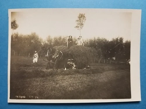 Mezzano (Parma). Antique and Rare Photo Postcard (1914). Fieldwork.