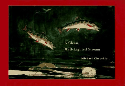 #ad A CLEAN WELL LIGHTED STREAM By Michael Checchio Hardcover **Mint Condition** $20.95
