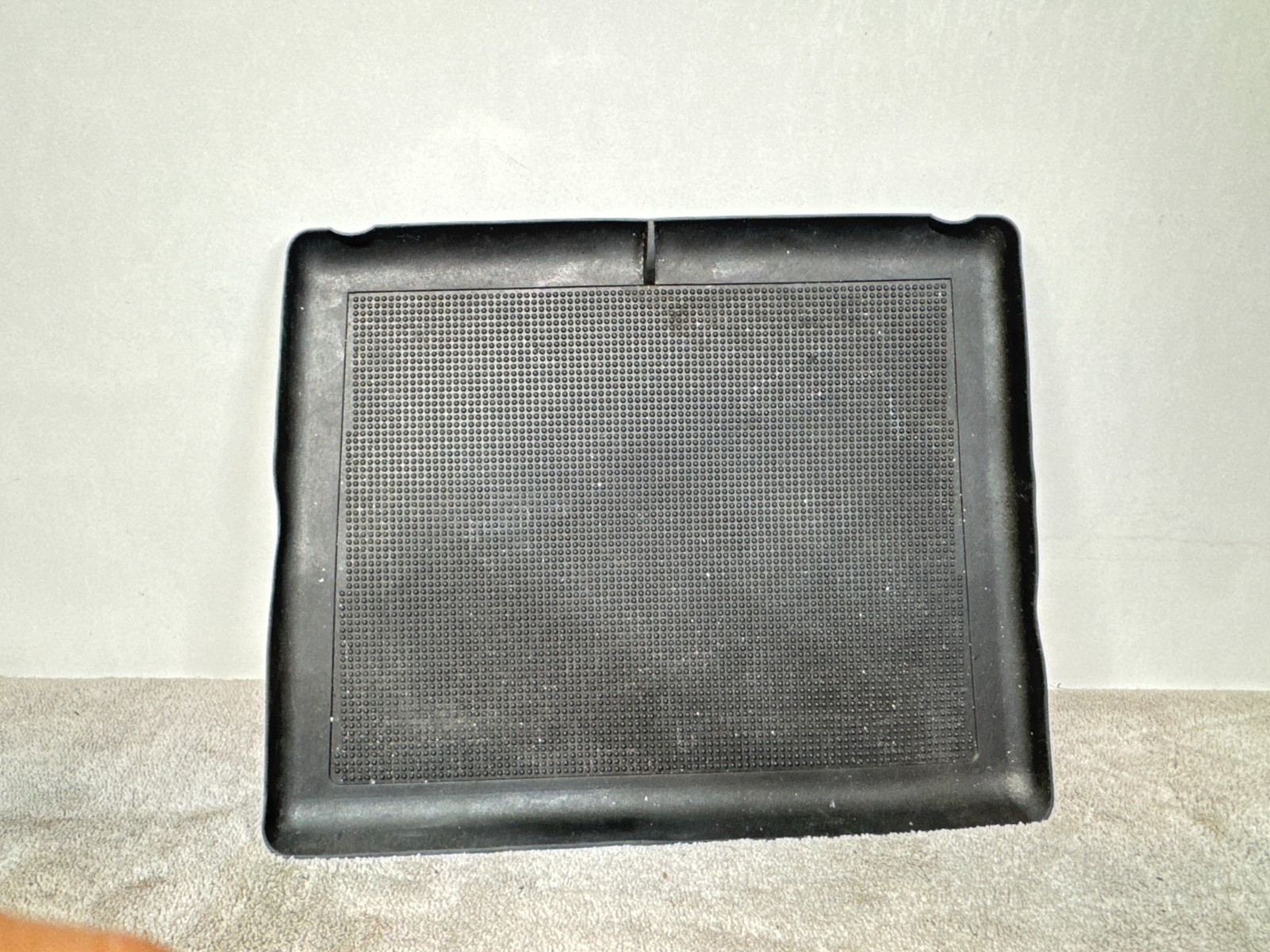 Picture 1