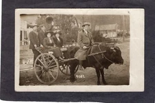 Real Photo Postcard RPPC: Women on bull cart, McCleod Photo
