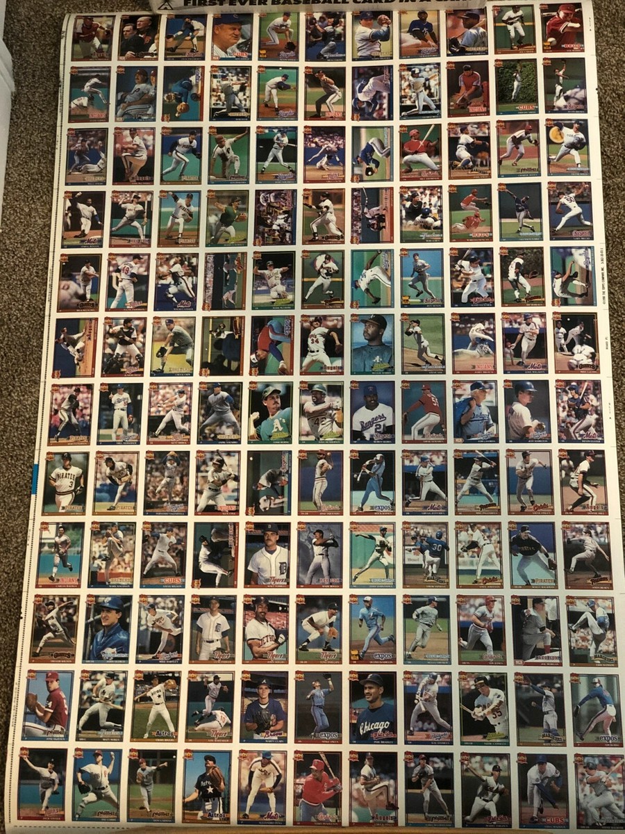 【激レア】Fontaine Parrot Uncut Sheet Blue Grid Fontaine Uncut Sheet Playing Cards – Deckita Decks