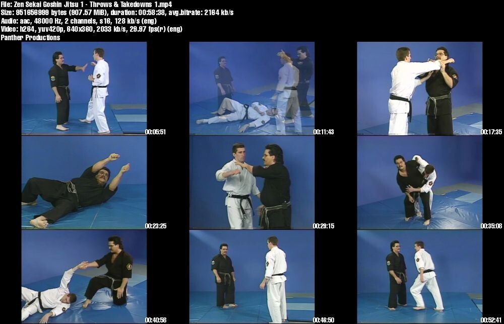 Les 16 Techniques EFJJSD - Kata Du 1er Dan Jujitsu Self-défense