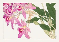 11996.Decor Poster.Room wall.Home floral Oriental design art.Japanese flowers