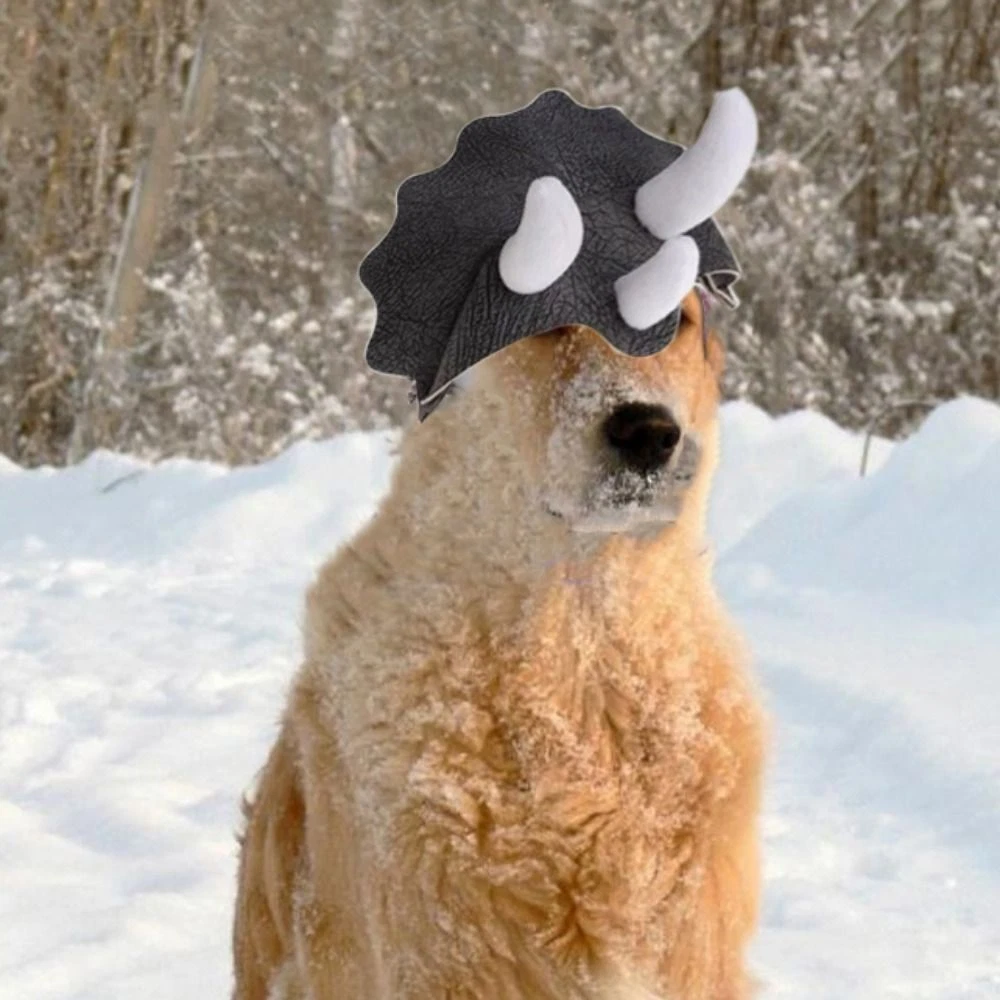Halloween hats for dogs cheap