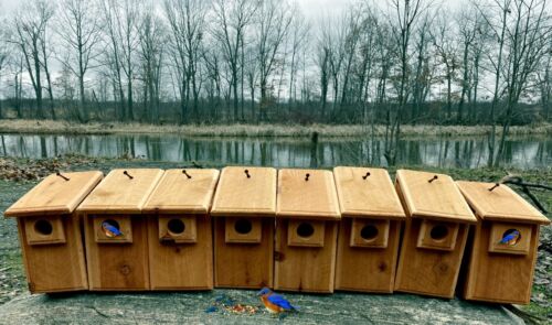 8 Brand New Cedar Bluebird Bird Houses, Easy Open & Clean, MADE IN THE USA - Picture 1 of 4