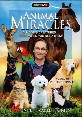 Questar / Animal Miracles / **SEALED** DVD Video! - Picture 1 of 3