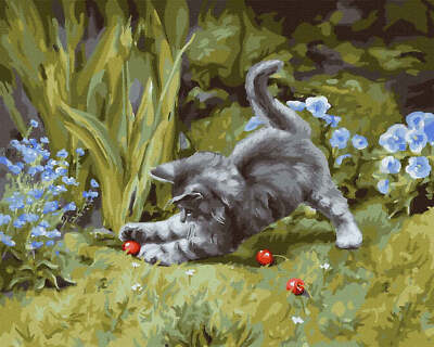 Ideyka Painting by Numbers kit Playful kitten KHO4251