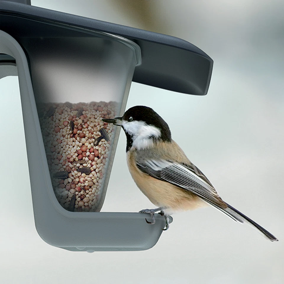 Vogelfutterstation Vogelfutterhaus aus Kunststoff mit Silo Hängen Rund - Bild 4 von 4