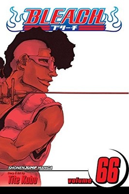 Bleach, Vol. 66: Sorry I Am Strong: Volu..., Kubo, Tite