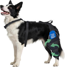 Dog Knee Brace for Back Leg - Hot/Cold Compress for Joint Pain Relief