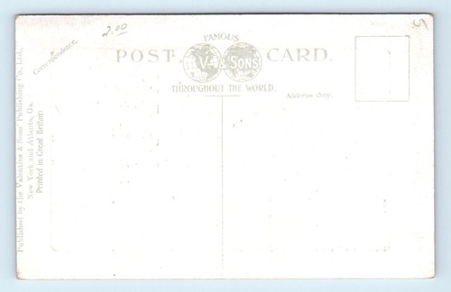1910s FL Postcard Royal And Date Palms Palm Beach Florida Unposted Valentine Son - Picture 2 of 2
