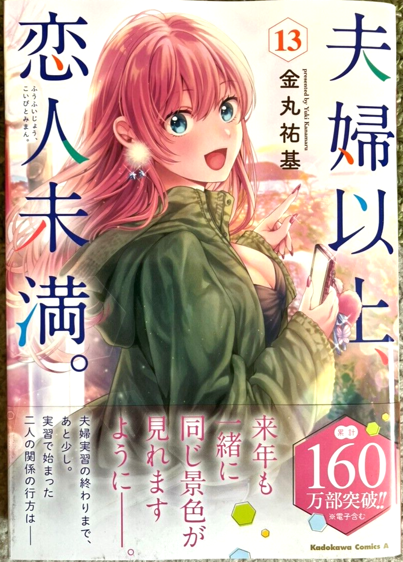 More than a married couple, but not lovers Vol.1-13 Japanese Manga