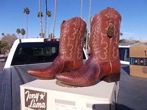 tony lama lizard skin boots