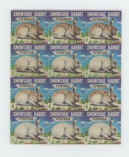 AUDUBON Snowshoe Rabbit Small VARI-VUE Animation Motion Animation Sheet of 12