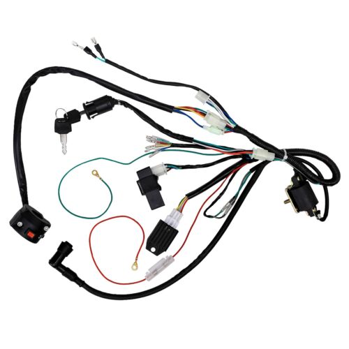 Wiring Harness Wire Loom for Kick start 50cc 70cc 110cc 125cc 140 Pit Dirt Bike - Picture 1 of 9