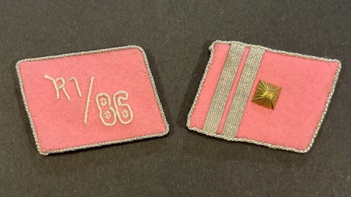 WW2 WWII German Stormtroopers Brownshirts Military collar tabs patches W RZM Tag