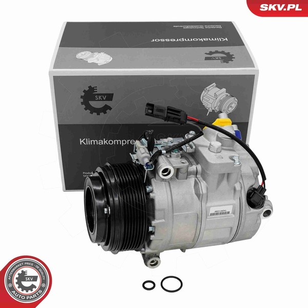 Kompressor Klimaanlage Esen SKV 84SKV137 12V FüR BMW 5Er Turismo F07 F10 Touring-image