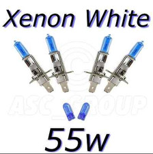 Ampoule Citroen EVASION