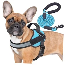  Essential Dog Harness, No Pull Pet Vest with 3 Leash Clips, No Choke, M Blue