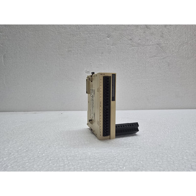 Modicon Twido TWDDI16DT Digital Input Module
