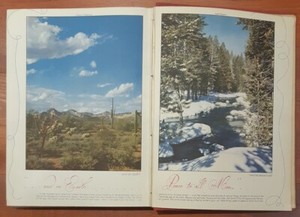 card counting online casinos