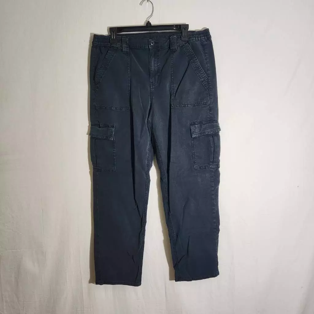 American Eagle Outfitters Womens Cargo Pants Navy Blue High Rise Stretch  Plus 16