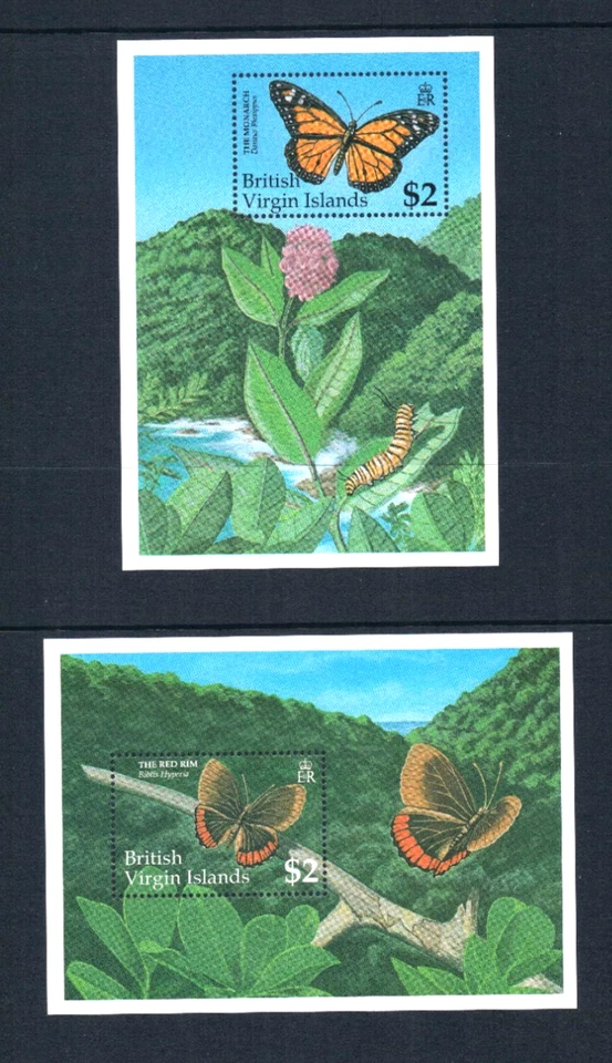 17.50 美元 Scott Value - 1991 年英属维尔京群岛 VIRGIN ISL 蝴蝶 2 秒/秒 加勒比 CV 全新 NH UMM — 第 3/4 张图片