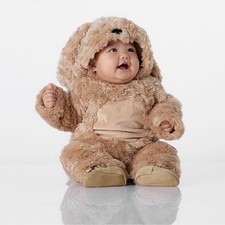 Pottery Barn Kids Baby Dog Costume Sz 0-6 Months