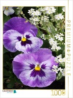 Calvendo Puzzle Two Pansies With Forget-Me-Nots | 1000 Pieces, Finished Size 25.