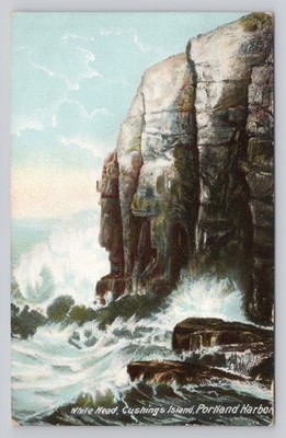 Whitehead Cushing Island Portland Harbor ME c1905 Bancor & Boston RPO Postcard