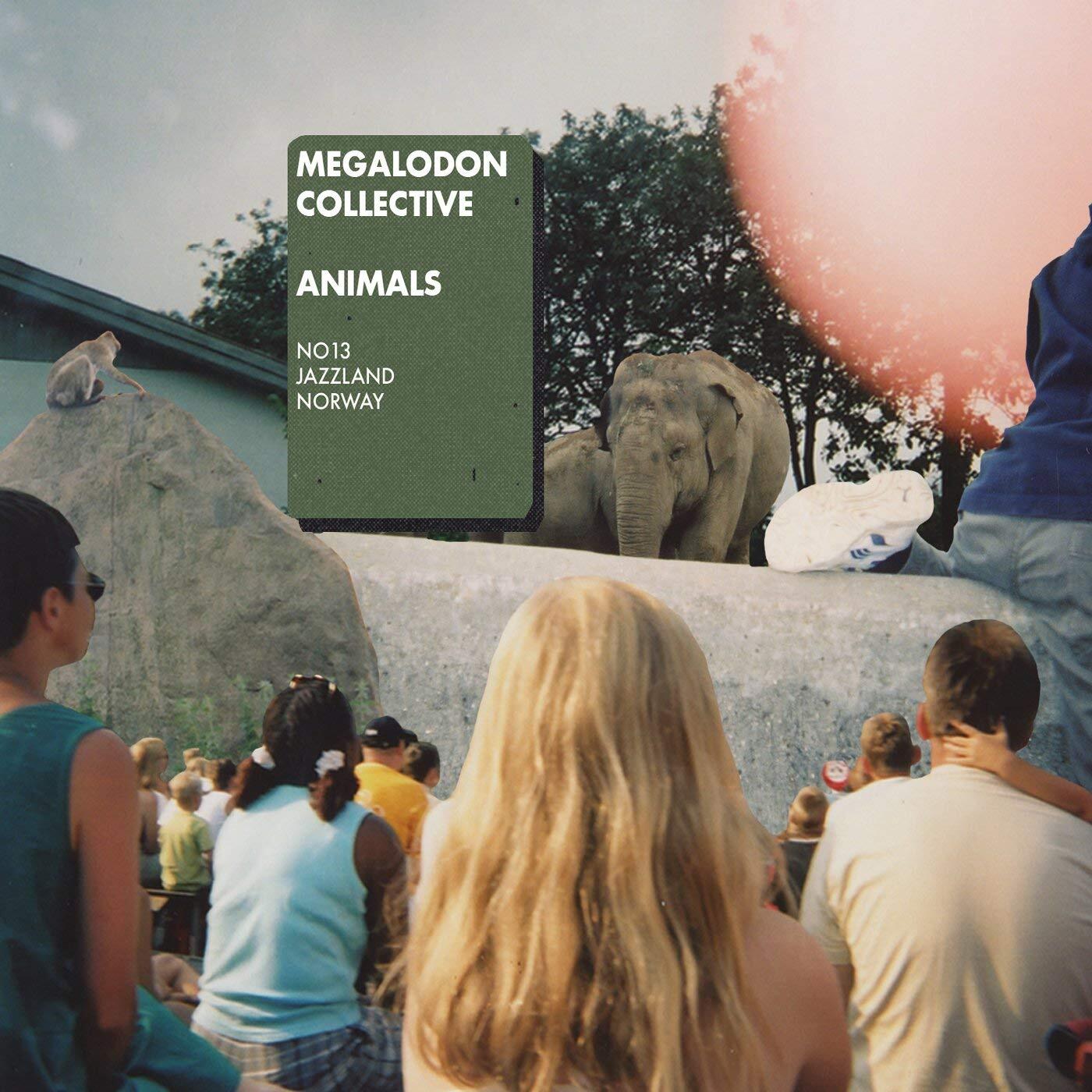 Megalodon Collective - Animals - Cd