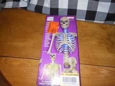 12 Ft Skeleton Skelly LED Home Accents Holiday Lighting Kit Home Depot