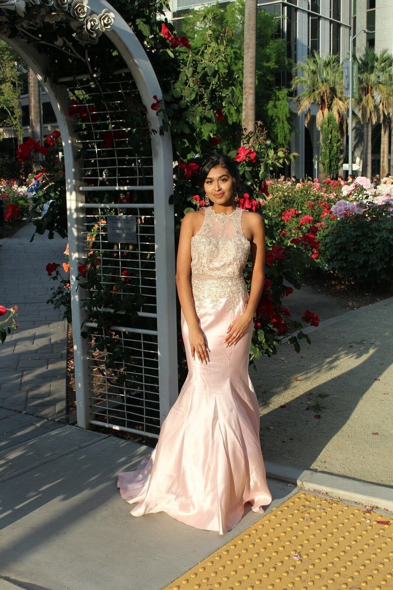 light pink prom dress fitted Long Halter Corset Satin Pearl Prom Dress with Train Pink/Silver / 00