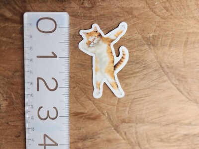 CAT Sticker Funny Sticker Funny Decal Meme Sticker Meme Decal Joke Comedy