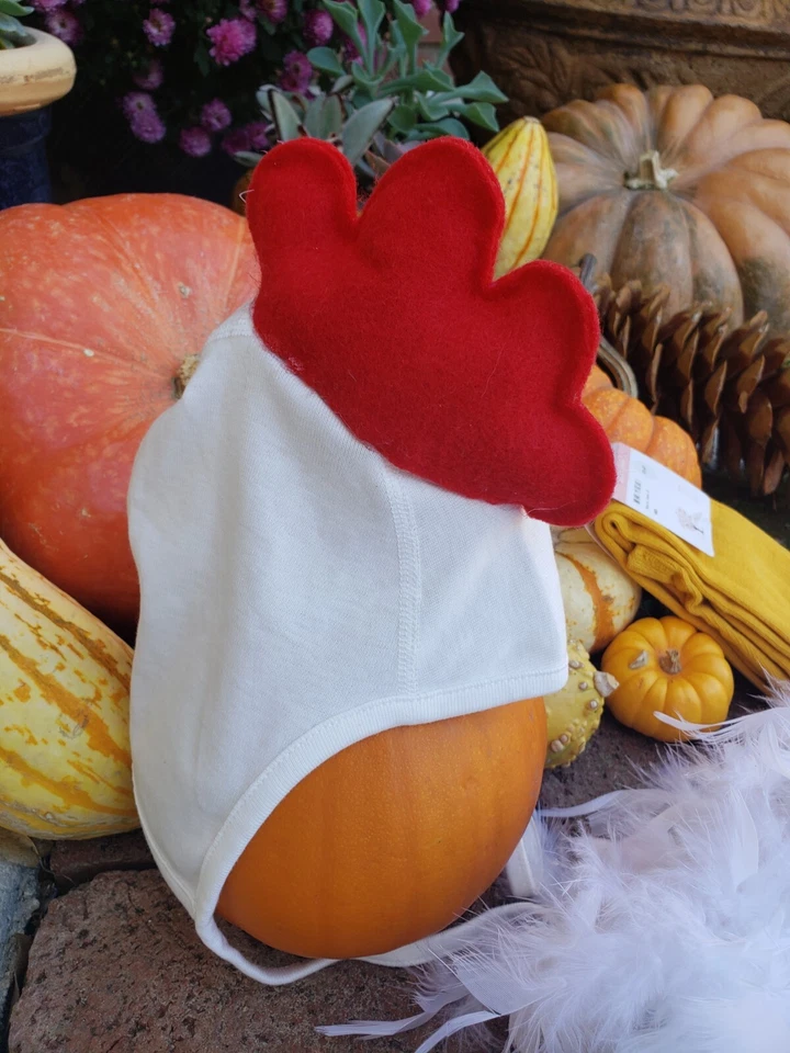 NUEVO TRAJE DISFRAZ HALLOWEEN PLUMA POLLO PUNTO BEIGE HECHO A MANO 3 PIEZAS NIÑO, SOMBRERO, MEDIAS Foto 4 de 4
