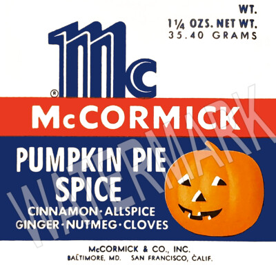 McCormick Pumpkin Pie Spice JOL High Quality Metal Magnet 4x4 inches 8895