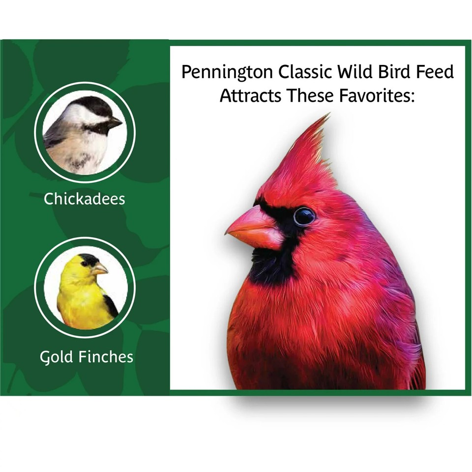Pennington Classic Wild Bird Feed and Seed, 40 lb. Bag, Dry, 1 Pack eBay
