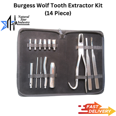 Set De 14 Extracteurs Dentaires équin Burgess – Acier Inoxydable – Neuf